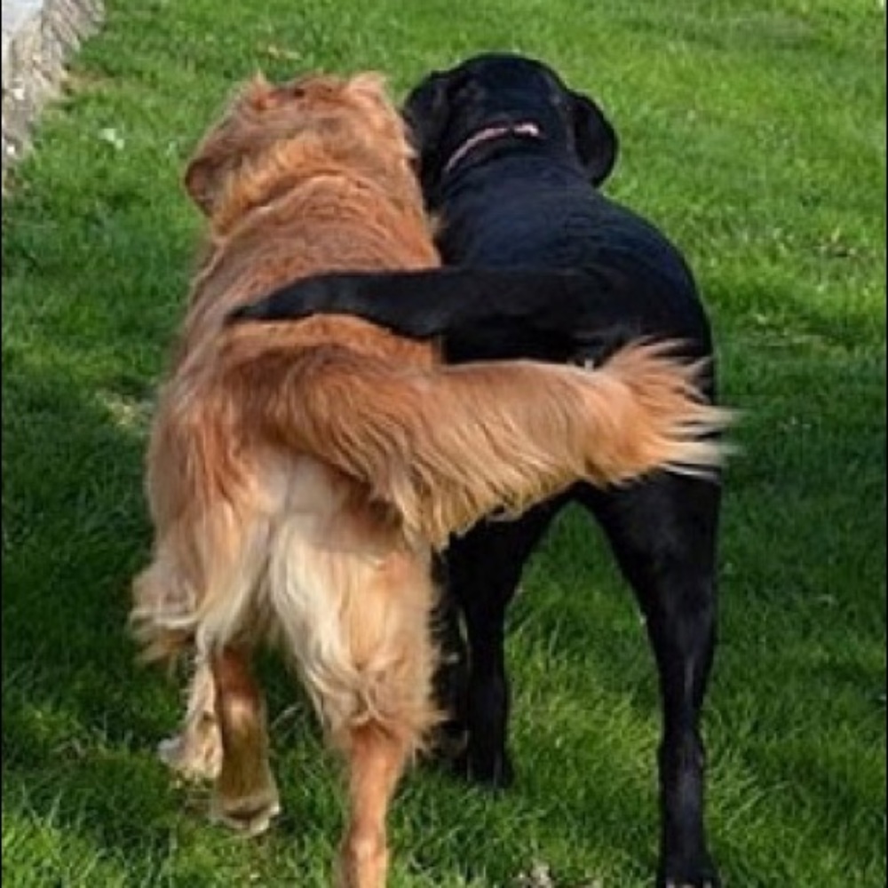 Meet your Posher, Lynne